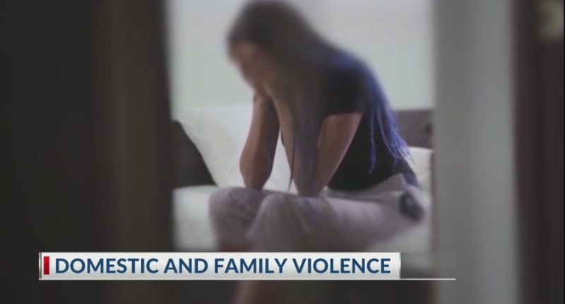 Family violence continues to be an all-too-common problem, advocate says