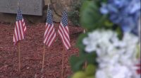 Flags for the Fallen final day: wreath laying, flyover