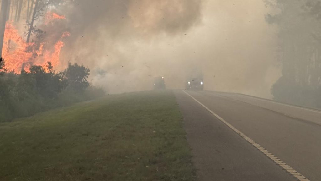 Forest fire burns 800 acres near Ocala National Forest
