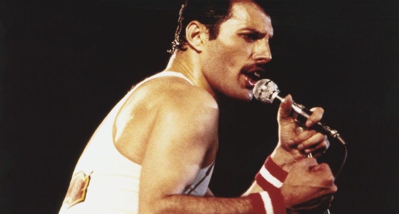 Freddie Mercury's heartbreaking plea to daughter who was kept secret for 48 years