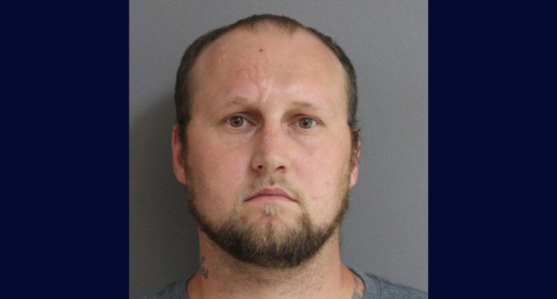 Girl, 10, drove dad's truck into boy, 6: Cops