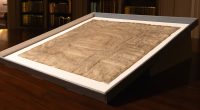 Harvard's 'cheap' copy of the Magna Carta turned out be from the year 1300