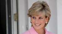 How Princess Diana Would React to Son Harry's BBC Interview: Expert