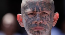 Huge: It Doesn't Go Well For Dems Who Tried to Invade Prison Housing Illegal Alien Gang Members