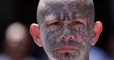 Huge: It Doesn't Go Well For Dems Who Tried to Invade Prison Housing Illegal Alien Gang Members
