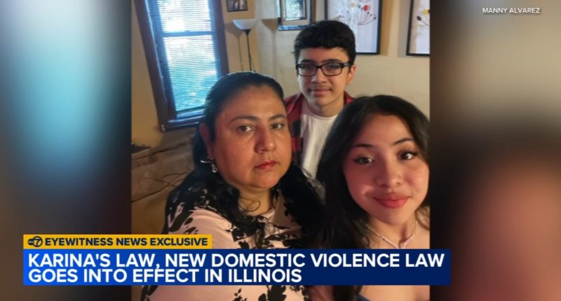 Illinois 'Karina's Law' goes into effect to remove guns from domestic violence situations in Little Village mom's name, son speaks