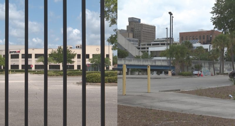 Jacksonville City Council evaluates land swap for UF grad school