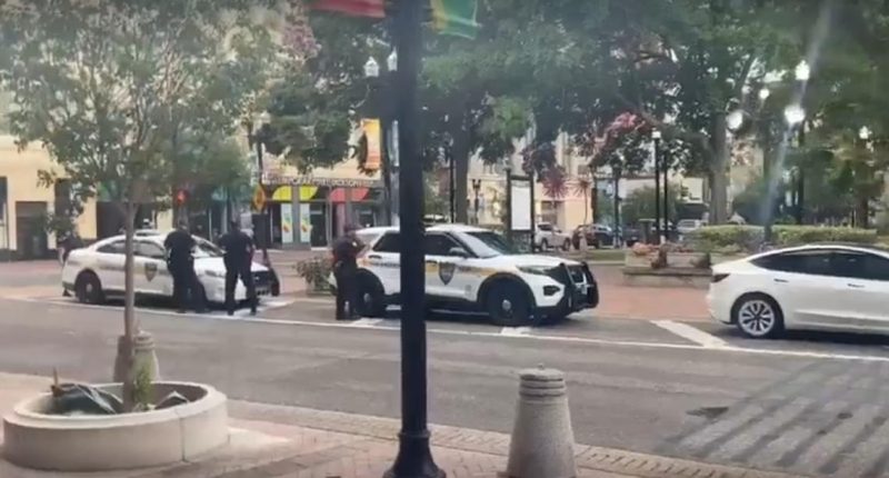 Jacksonville City Council stops temporarily after people removed