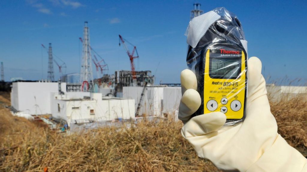 Japan plans to reuse Fukushima soil in prime minister's flower beds