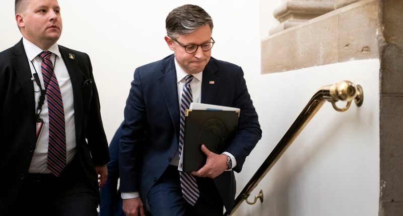 Johnson, top House Republicans to huddle with Trump on agenda bill