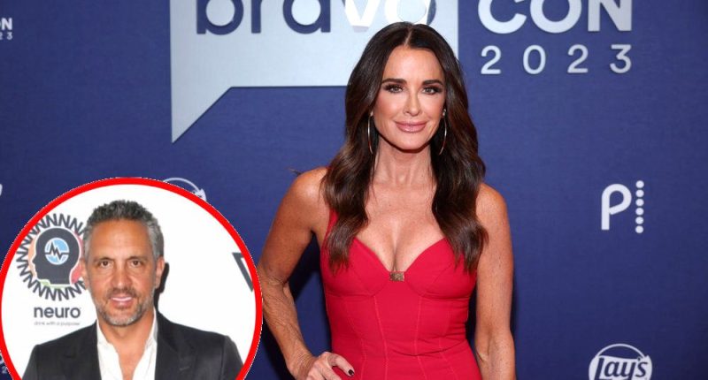 Kyle Richards Addresses Her Future on RHOBH After "Difficult" Season 14 and Shares Co-Parenting Update With Mauricio