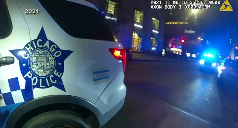 Mag Mile Stop and Search: Magnificent Mile Chicago police stops and searches challenged as unlawful, drivers speak to ABC7 I-Team