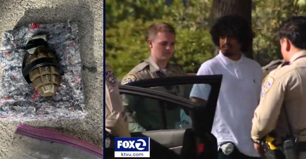 Man hurls grenade from stolen car while fleeing cops: Police