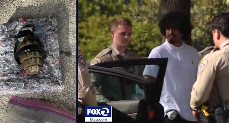 Man hurls grenade from stolen car while fleeing cops: Police