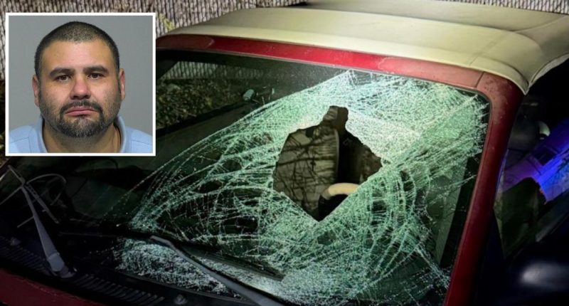 Man killed 90-year-old pedestrian in hit-and-run: Police