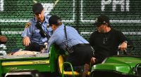 Man plunges from the stands at Pittsburgh Pirates game