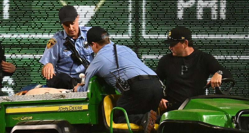 Man plunges from the stands at Pittsburgh Pirates game