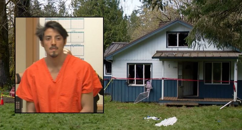 Man set fire to house after shooting father, brother: Police
