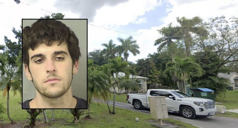 Man 'snapped,' killed mom after paperwork argument: Attorney