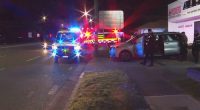 Manhunt launched after two Border Force officials attacked