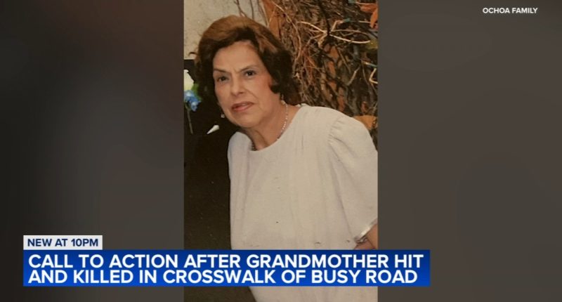 Maria Ochoa, grandma killed in Garfield Ridge, Chicago car crash near Laramie and Archer, remembered as 'caring, loving woman'