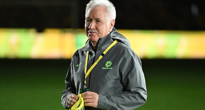 Matildas coach takes aim at the professionalism of the A-League Women competition despite big win over Argentina