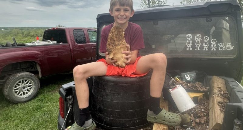 Missouri boy finds giant morel mushroom nearly the size of his own head