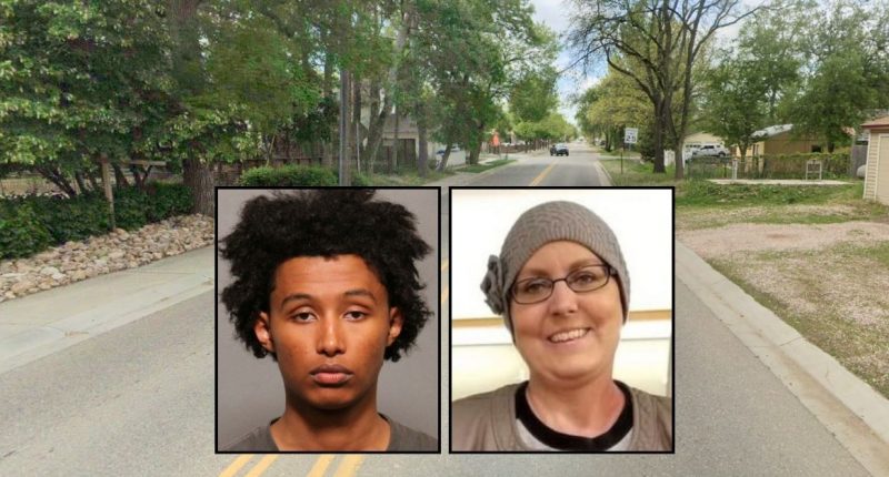 Mom killed by bullet fired 'accidentally' into home: Cops