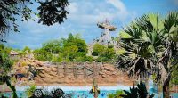 Mom sues Disney for $2M over ‘mammoth wave’ at Typhoon Lagoon in Florida