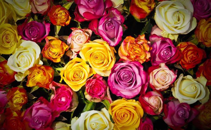 Mother’s Day 2025: Brunches, self-care, freebies and more