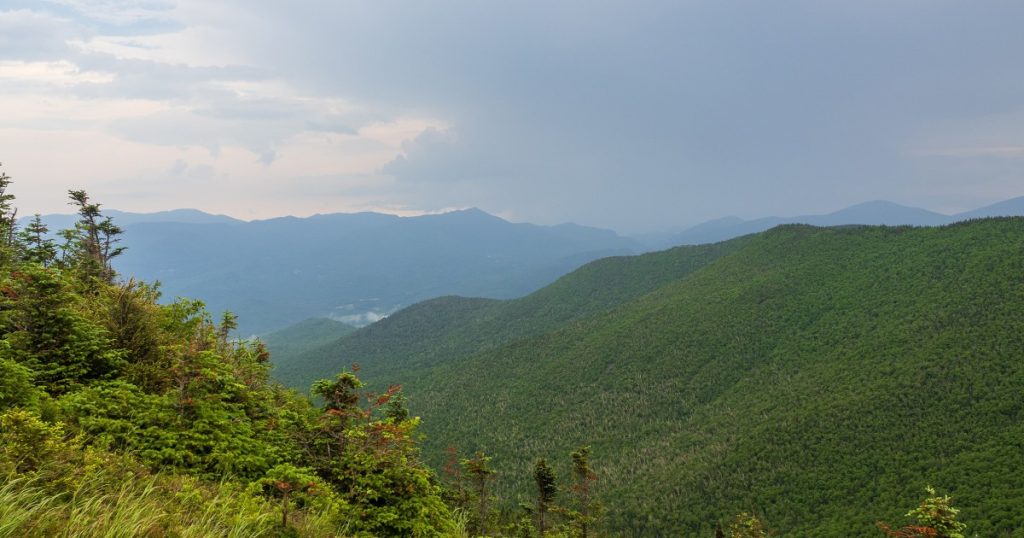 Mushroom-tripping hikers mistakenly report a companion's death, officials say