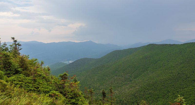 Mushroom-tripping hikers mistakenly report a companion's death, officials say