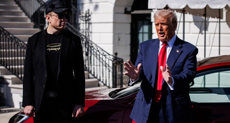 Musk says he has slept in Lincoln Bedroom during late nights at White House