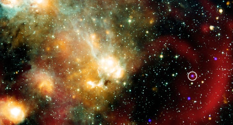 Mysterious object spotted in our galaxy is emitting X-rays and radio waves