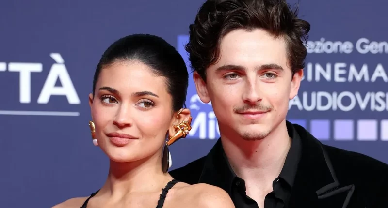 Now We Know What the Heck Was on Kylie Jenner's Ear When She Walked the Red Carpet With Timothée Chalamet