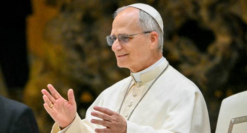Pope Leo XIV affirms family is based on union between a man and a woman, unborn has inherent dignity
