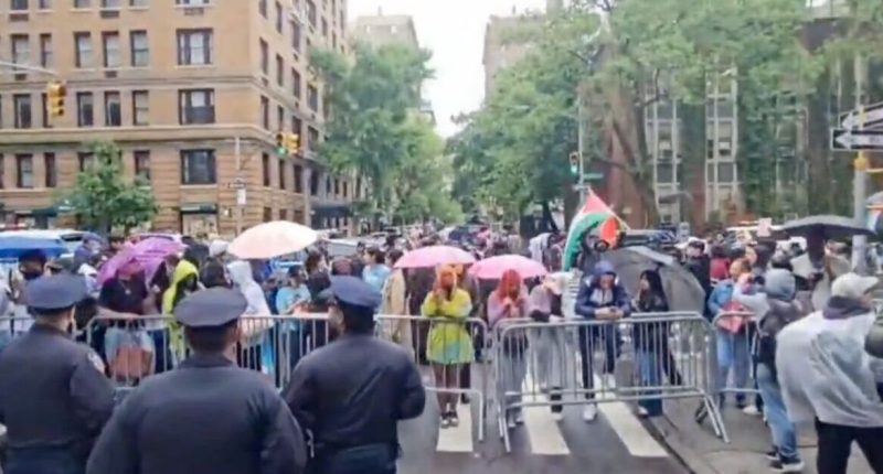 Pro-Palestine protestors erupt outside Met Gala 2025 moments before stars hit red carpet