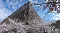 Prominent pastor notified books loaned to African American museum may be returned amid review