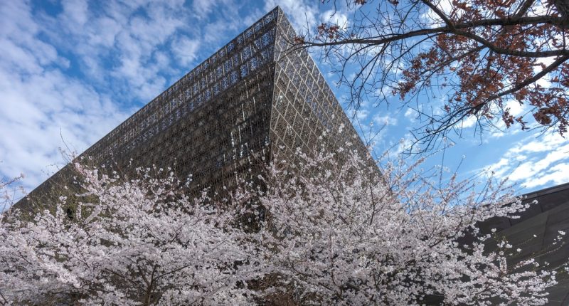 Prominent pastor notified books loaned to African American museum may be returned amid review
