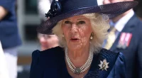Queen Camilla's Former Assistant Reveals Her Biggest Fear When Traveling Abroad