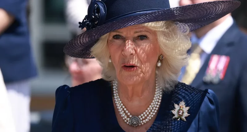Queen Camilla's Former Assistant Reveals Her Biggest Fear When Traveling Abroad