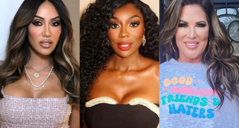 REPORT: Melissa Gorga, Emily Simpson & Wendy Osefo Join Cast for Wife Swap: The Real Housewives Edition, Plus RHOSLC Star Will Join Them