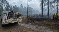 Rainy day a welcome respite during brush fires in Marion County, officials say