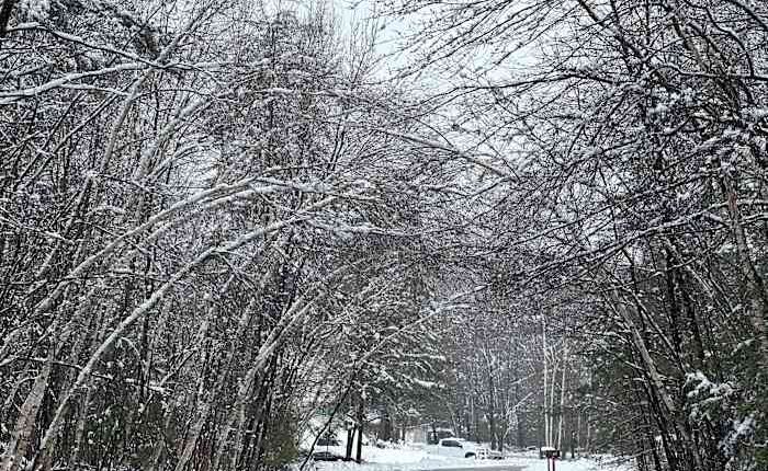 Rare May nor'easter brings rain and chance of snow to New England before Memorial Day