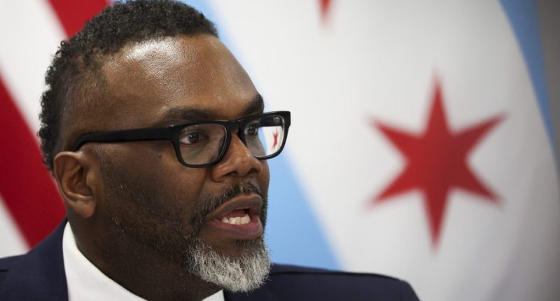 Reporter: Johnson's comments 'not specific' toward race in city hires