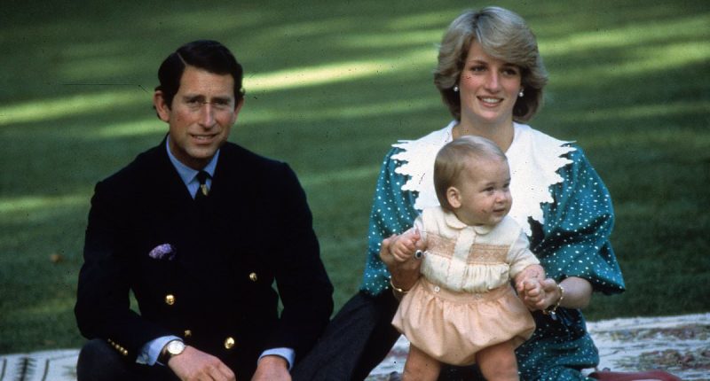 Revealed: The cute nickname Princess Diana used for William - and the hilarious reason behind it, according to Harry