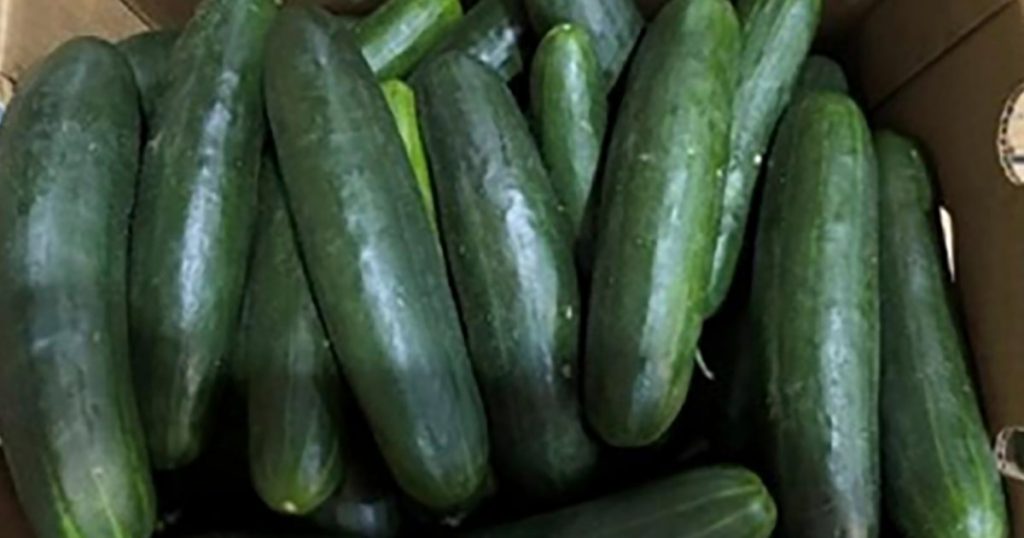 Salmonella outbreak in cucumbers expands to 18 states, 45 sickened