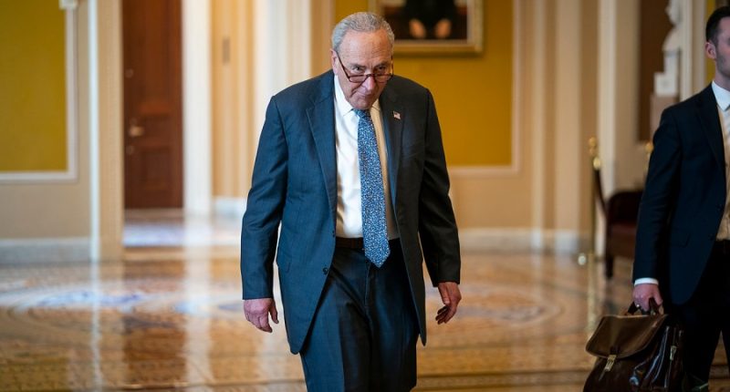 Schumer rips Trump plan to privatize Fannie Mae, Freddie Mac