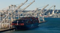 Seattle port busy now, but shipping gaps loom: Commissioner