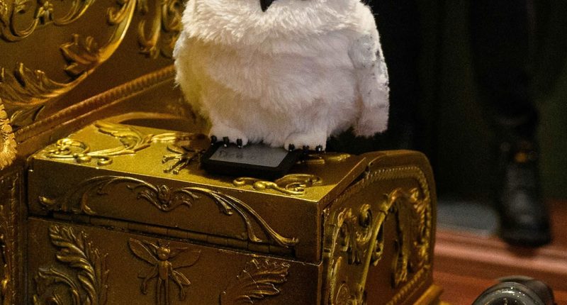 Secrets of Epic Universe’s Wizarding World of Harry Potter Revealed